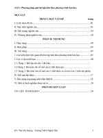 Bài soạn SKKN HOA - 2010