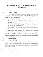 TỔNG QUAN VỀ RỦI RO TÍN DỤNG CỦA NGÂN HÀNG THƯƠNG MẠI