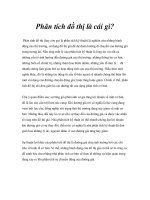 Phân tích đồ thị là cái gì?