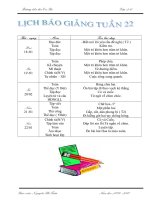 Gián án GIÁO ÁN LỚP 2 TUẦN 22  (CKTKN)