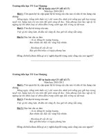 Bài giảng Đề TV tự luyện của GV-số 17 NH 2010-2011