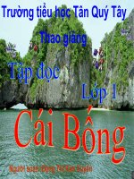 Bài giảng Cái bống