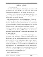 Bài soạn SKKN - TOAN 10