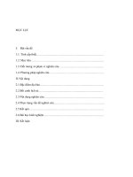 Tìm hiểu kinh nghiệm phát triển nông thôn ở nhật bản và bài học cho phát triển nông thôn ở Việt Nam.