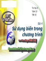 Bài soạn Bài 4. Sử Dụng Biến Trong Chương Trình