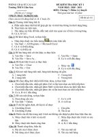 Gián án De thi HKI nam hoc 2010 - 2011