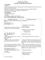 Gián án giáo án lớp 5- tuần 19-KTKN-KNS