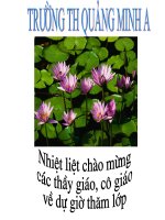 Tài liệu bai giang dien tu TV