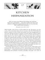 KITCHEN HISPANIZATION