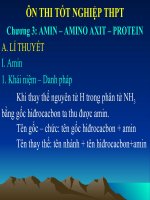 Tài liệu Ôn thi TNTHPT - Chương 3: Amin - Amino ãit