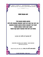 Tín dụng ngân hàng đối với doanh nghiệp nhỏ và vừa tại các chi nhánh ngân hàng nông nghiệp và phát triển nông thôn việt nam trên địa bàn TP HCM 