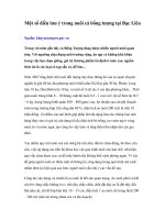 Một số điều lưu ý trong nuôi cá bống tượng tại Bạc Liêu