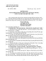 Hướng dẫn thi đua liên đội 2010 - 2011