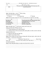 Gián án ĐỀ THI HK I, NĂM HỌC 2010-2011