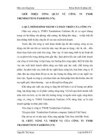 GIỚI THIỆU TỔNG QUÁT VỀ CÔNG TY TNHH TRENDSETTENS PASHIONS