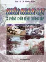 nuôi ngan vịt và phòng chữa bệnh thường gặp