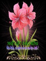 Bài soạn T.22-CaoBang