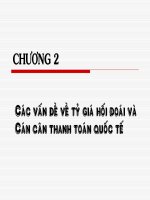 Chapter 2 - Các vấn đề về tỷ giá hối đoái và cán cân thanh toán quốc tế