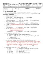 Tài liệu ĐỀ THI GKII MÔN TIẾNG VIỆT 4(2010-2011)