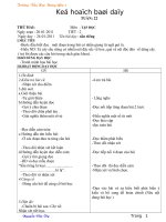 Tài liệu GA LOP 4 TUAN 22(CKT)