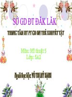 Tài liệu Giáo án thi GVDG môn Mỹ thuật