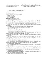 Báo cáo tháng 11+12 năm học 2010- 2011 trường Mẫu giáo Võ Xu 2