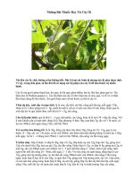 Tài liệu Những Bài Thuốc Hay Từ Cây Ổi