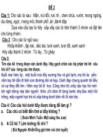 Gián án BOI DUONG HSG TV4 - DE 1