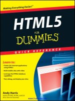 html5 for dummies 