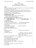 Gián án BANG-GIAO AN L3 TUAN 19-2010-2011