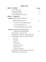 THỰC TẬP SƯ PHẠM THEO CÁC BIỂU MẪU DẠY HỌC LẤY HỌC SINH LÀM TRUNG TÂM