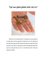 Tại sao phải phân tích rủi ro?