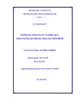 Đánh giá năng suất và hiệu quả chăn nuôi lợn trang trại tại thái bình