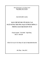 Hạn chế rủi ro tín dụng tại ngân hàng thương mại cổ phần đông á   phòng giao dịch kon tum 