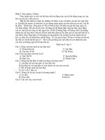 đề KTHK I (2010-2111)