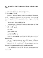 QUÁ TRÌNH HÌNH THÀNH VÀ PHÁT TRIỂN CÔNG TY CỔ PHẦN VIỆT LONG