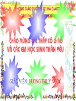 Tài liệu tiến hoá và tổ chức cơ thể