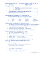 Bài soạn Đề thi HSG lớp 4 môn Tiếng Anh 5 HK II