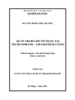 Quản trị rủi ro tín dụng tại techcombank   chi nhánh đà nẵng 