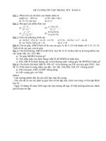 Bài soạn Ôn tập trong tết