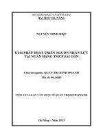 Giải pháp phát triển nguồn nhân lực tại ngân hàng TMCP sài gòn 