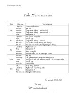 Bài giảng giao an 2 tuan 20-CKTKN