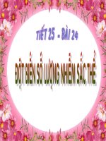Gián án Bai 24 dot bien so luong nhiem sac the