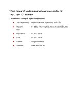 TỔNG QUAN VỀ NGÂN HÀNG VIBANK VÀ CHUYÊN ĐỀ THỰC TẬP TỐT NGHIỆP