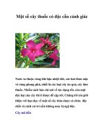 Một số cây thuốc có độc cần cảnh giác