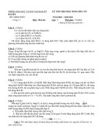 Bài giảng Đề thi HSG Đak Pơ V1 (10-11)