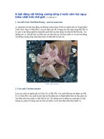 Bài giảng 8 loài động vật có nguy cơ bị xâm hại