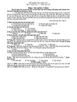 Gián án Kt Văn 7 kì 2