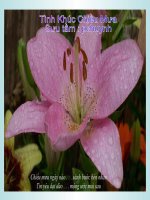 Bài giảng Tình khúc chiều mưa