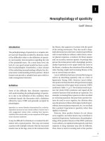 Neurophysiology of spasticity